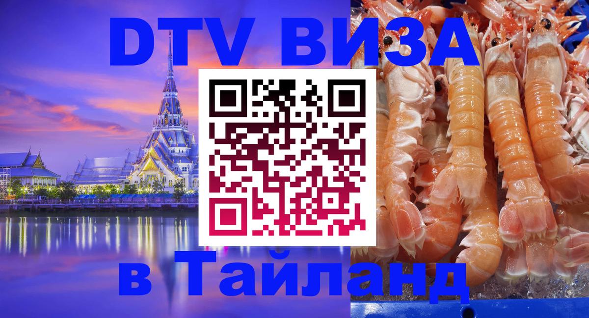 Оформление DTV визы под ключ: стоимость и тарифы, только загранпаспорт - Ростов-на-Дону  19.11.2025 